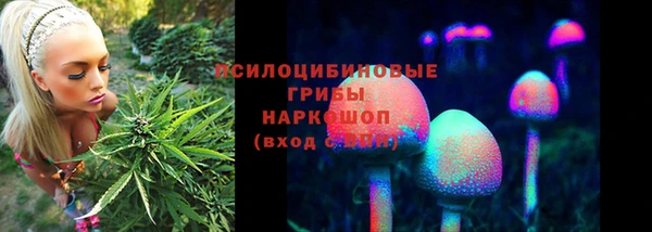 скорость Белокуриха