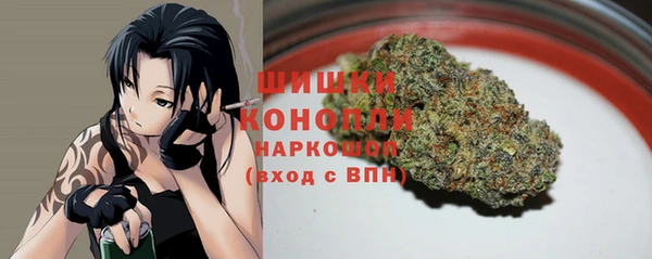 сатива Беломорск