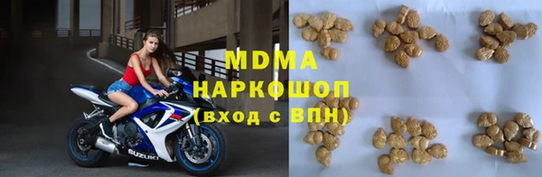 сатива Беломорск