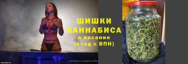 сатива Беломорск