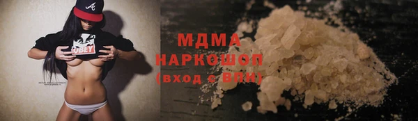 сатива Беломорск