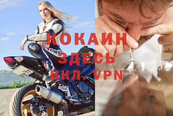 эйфоретик Богданович
