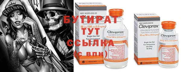 сатива Беломорск