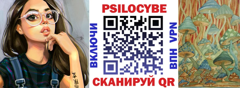 цены   Белоярский  Галлюциногенные грибы Cubensis 